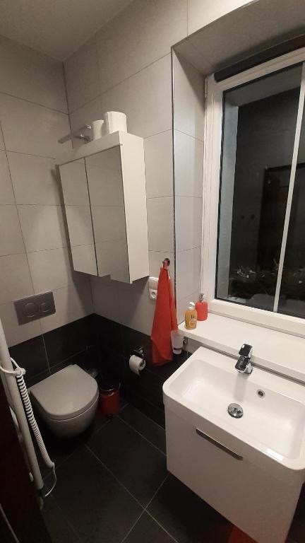 Koupelna v ubytování Apartmány RADOST