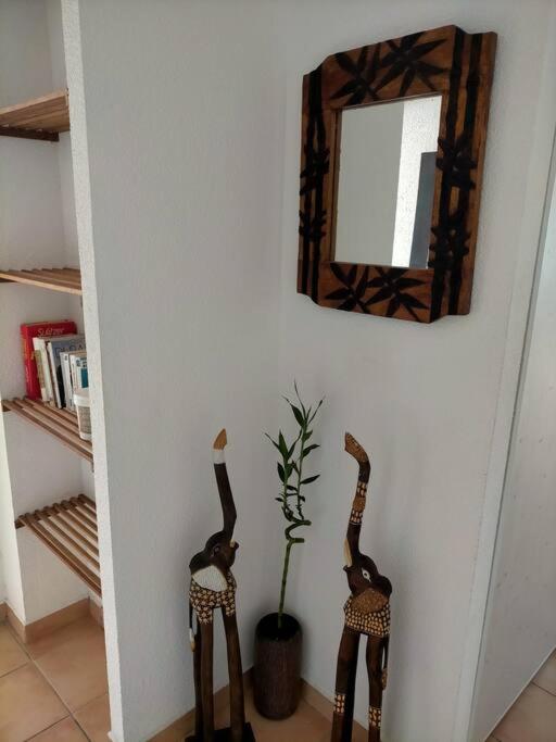 Knihovna v apartmánu