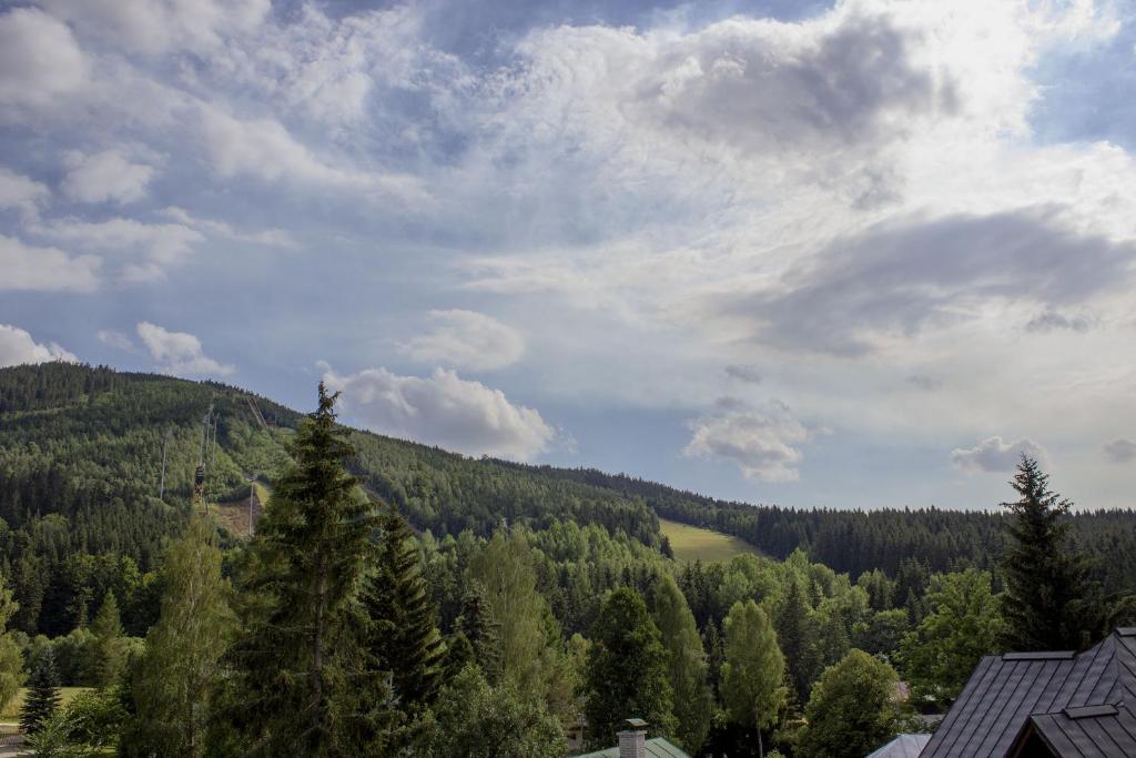 Příroda nedaleko apartmánu
