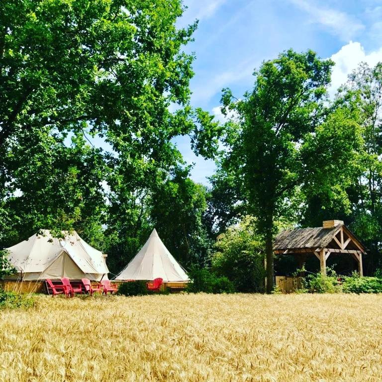 due tende e sedie in un campo di fieno di Cowcooning / Family tents a Huldenberg
