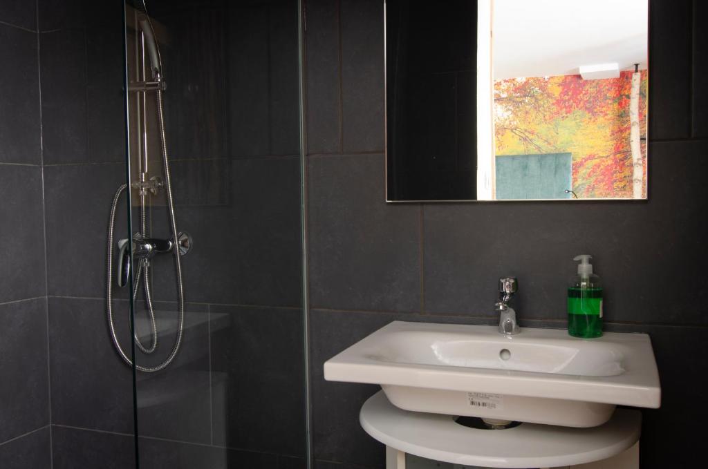 Koupelna v ubytování Apartments with Private Saunas & WELLNESS Gobi