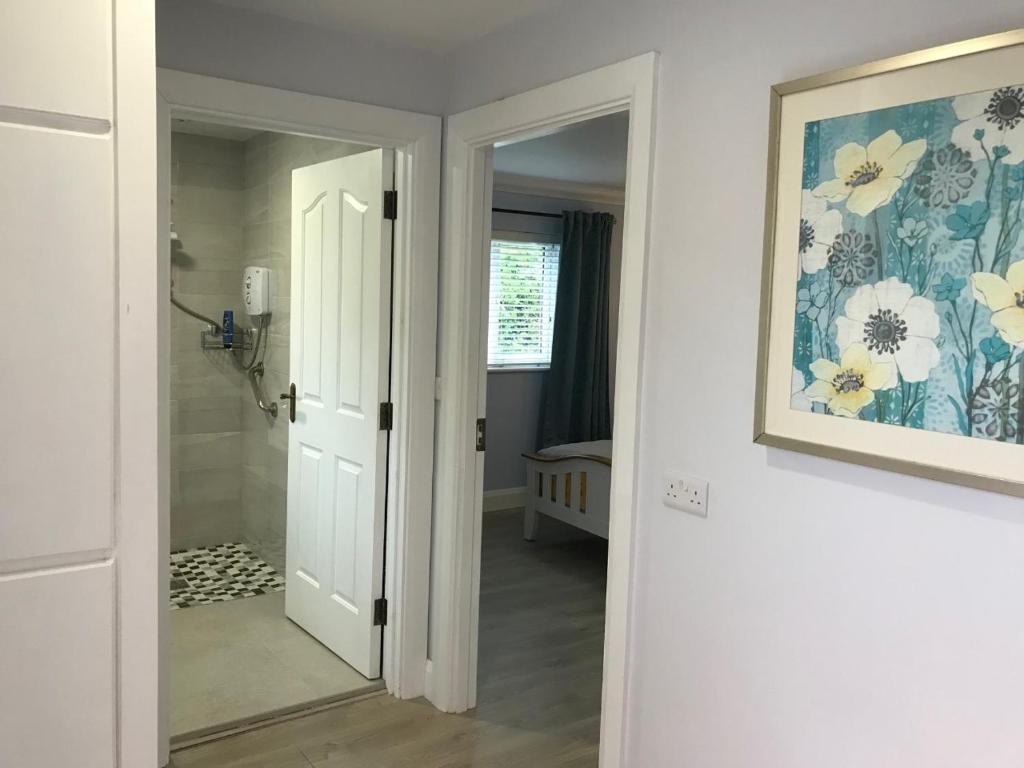a hallway with a bathroom with a painting on the wall at Carney Apartment in Ardara
