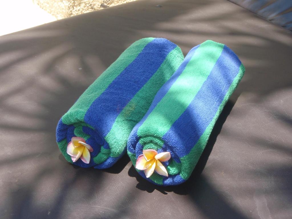 The Bali Bliss Villa - 5