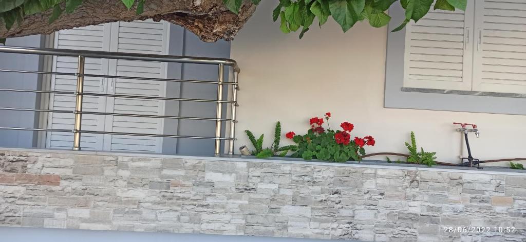 A garden outside ERODIOS TOWN