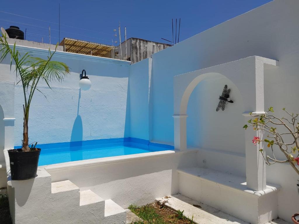 Casa Ximbal - отзывы и видео