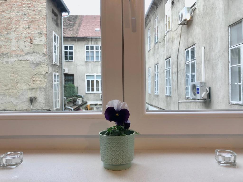 Fotografia z galérie ubytovania Studio apartment in center of Zagreb "Vidra" v Záhrebe
