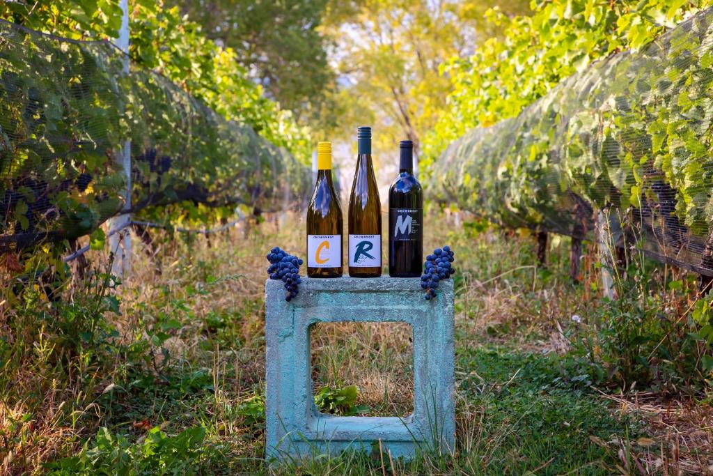 Zahrada ubytování Crowsnest Vineyards Guesthouse