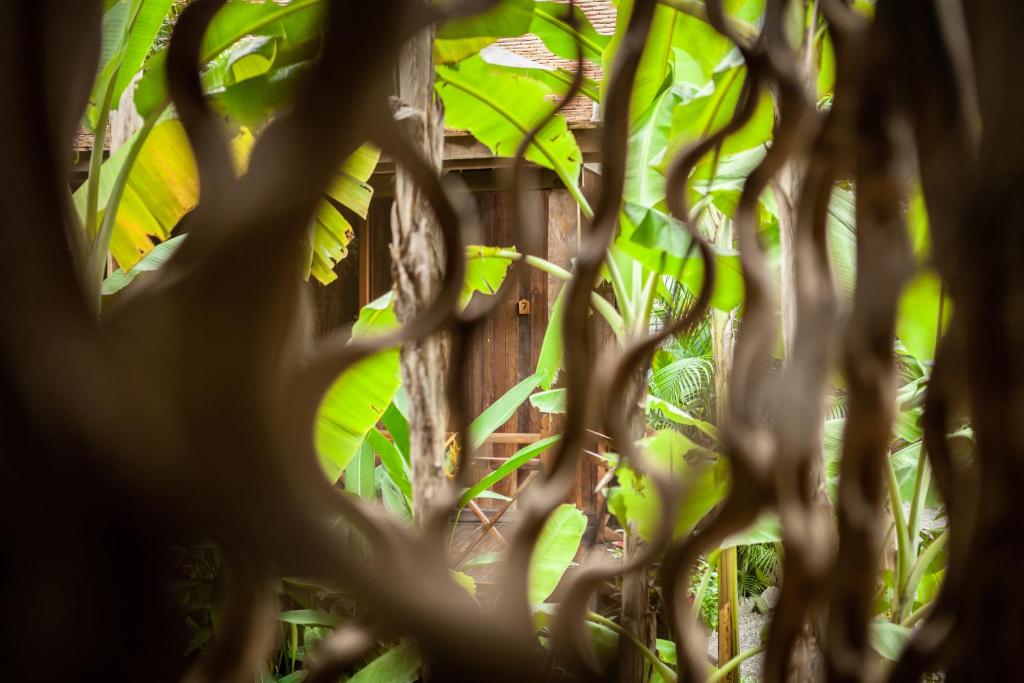 Zahrada ubytování Authentic Khmer Village Resort
