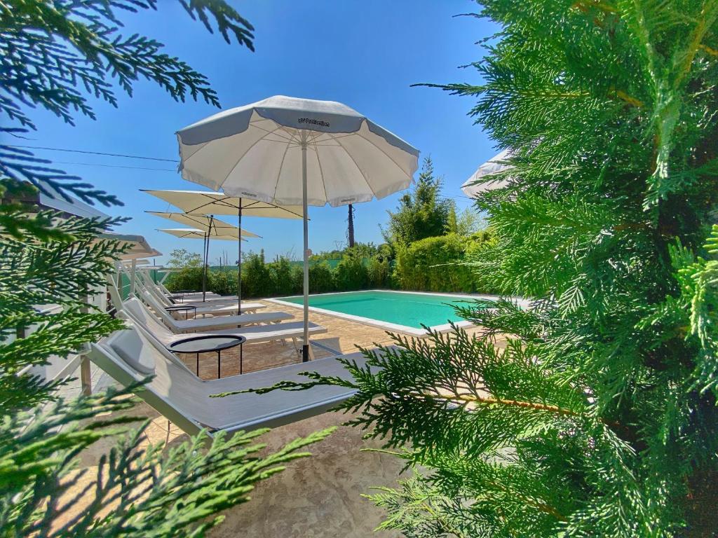 una piscina con sombrilla y sillas y una piscina en Mincio Relais en Castelnuovo del Garda