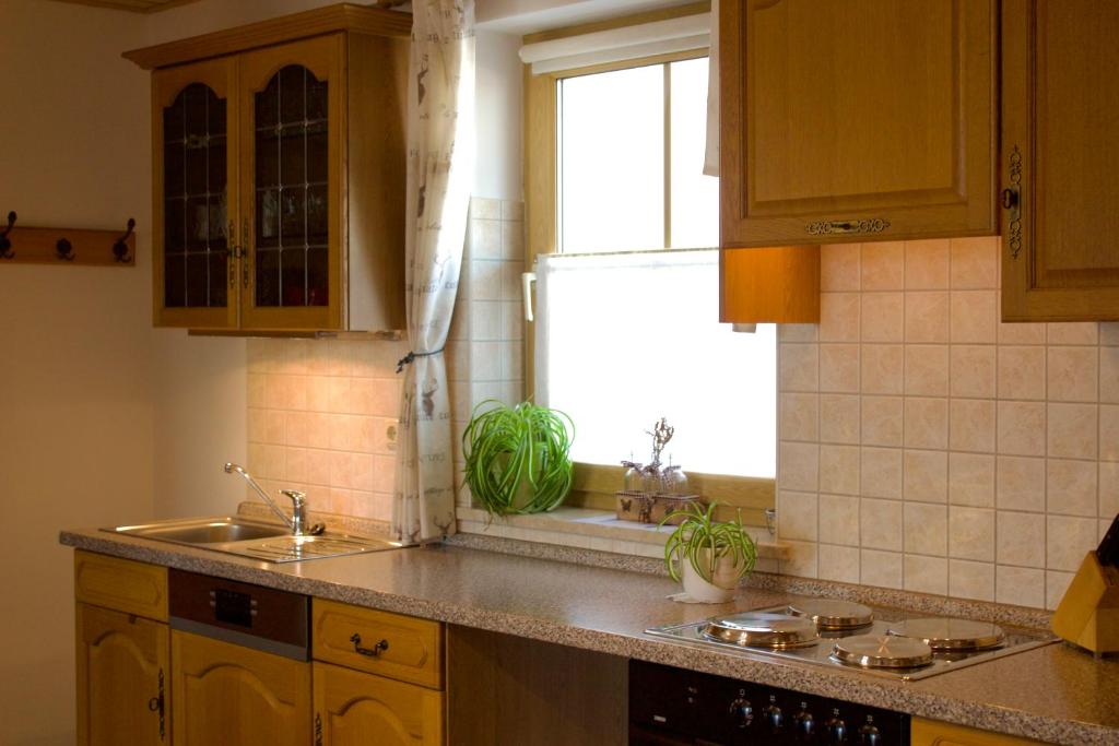 a kitchen with a sink and a white refrigerator at Ferienwohnungen Seebauer in Nittenau