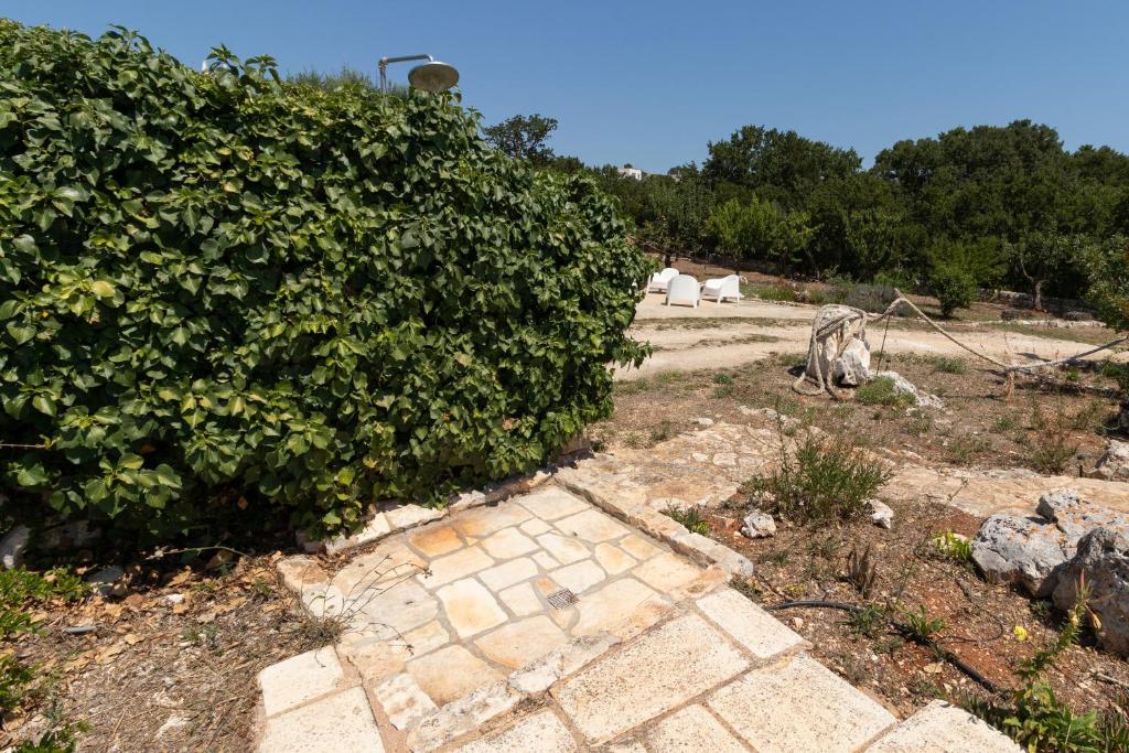 Zdjęcie z galerii obiektu Intero appartamento Trullo Paradiso w mieście Cisternino