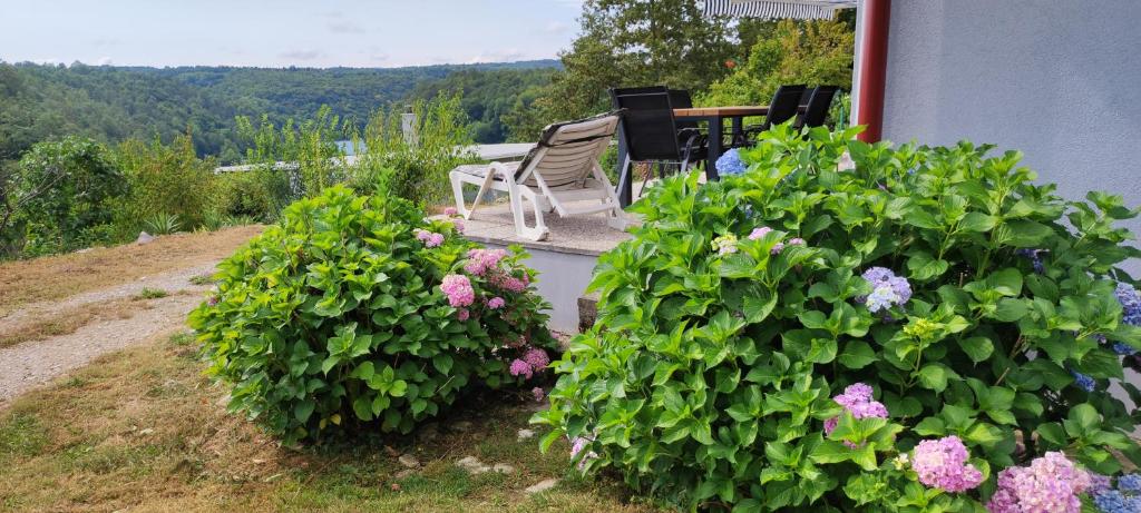 Mrežnica - Zelena oaza II - Appartamento Con 1 Camera Da Letto