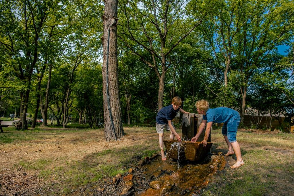 Hosté ubytování EuroParcs Ruinen