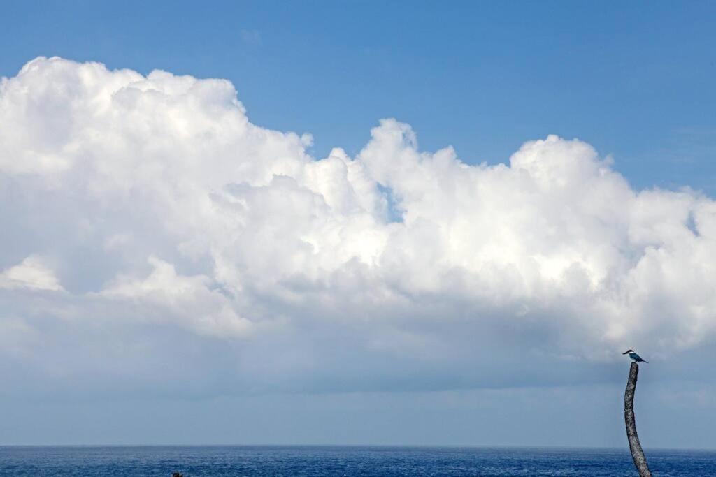 Φυσικό τοπίο κοντά σε αυτή η βίλα