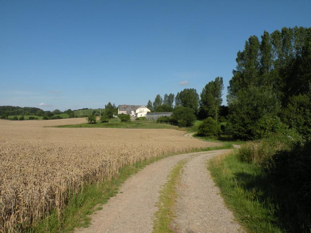 Příroda nedaleko apartmánu