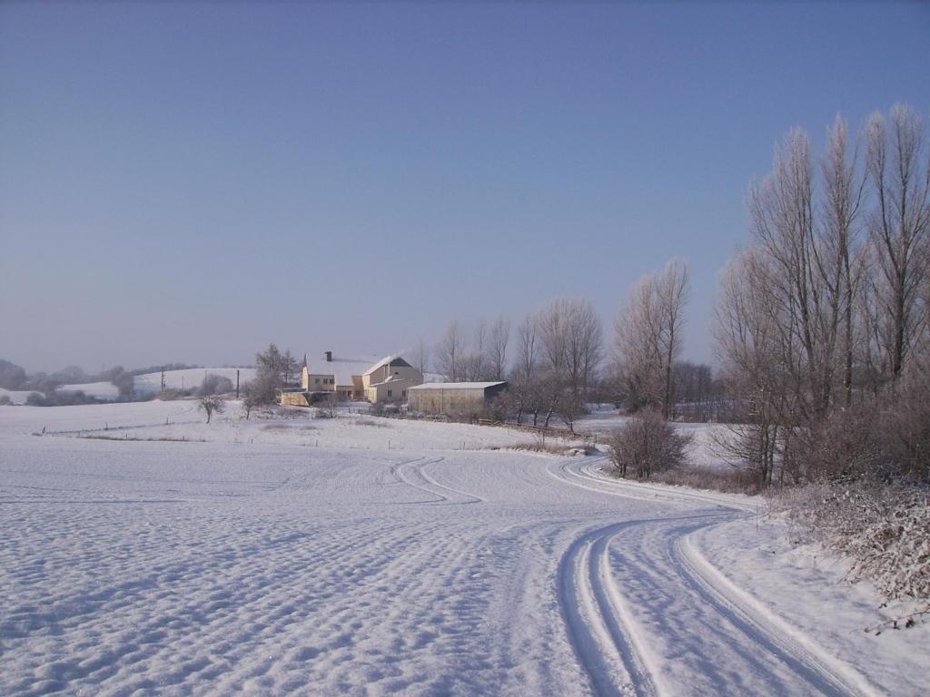 Hof Rodenkrog v zimě