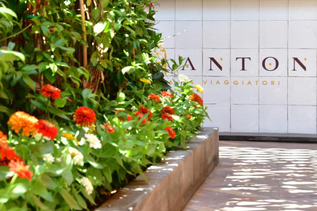 Zahrada ubytování San Anton Hotel