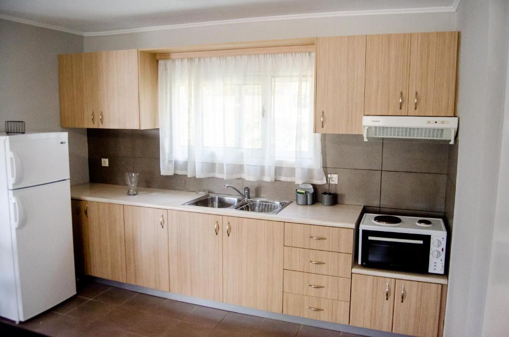 Kuchyň nebo kuchyňský kout v ubytování Filip and Sofi Apartment