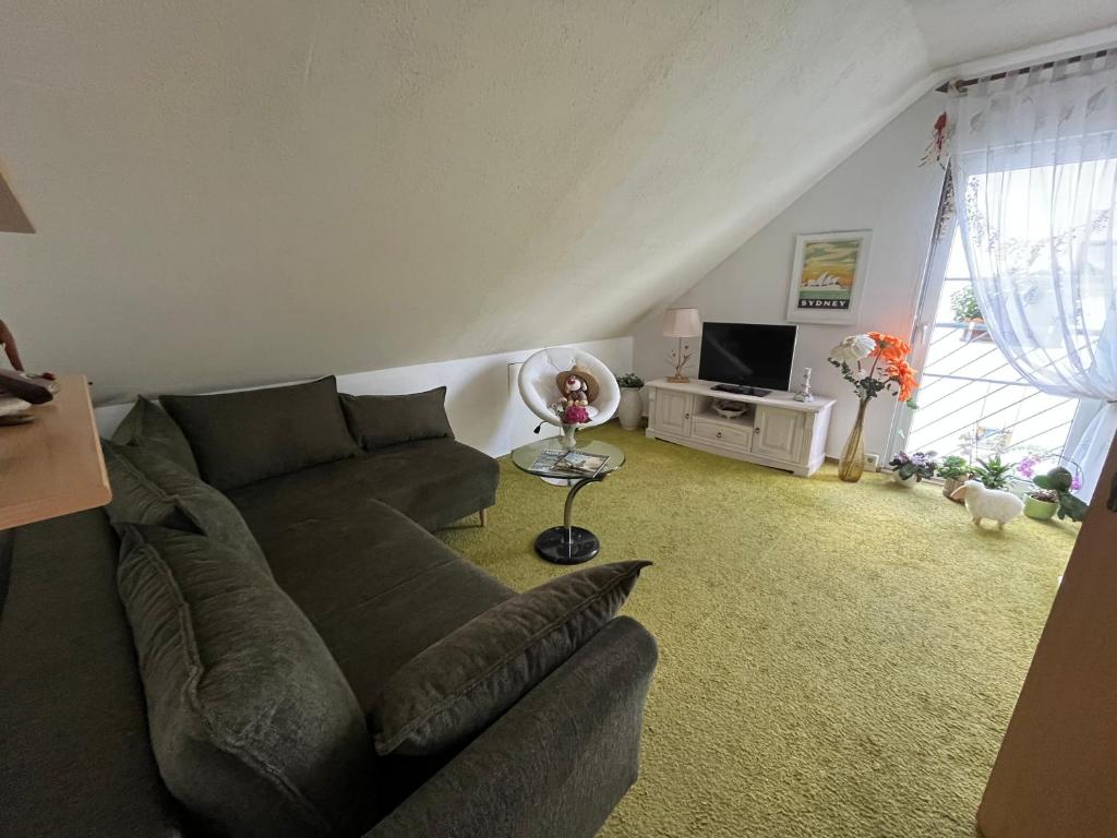 a living room with a couch and a tv at Pension Neue Messe in Rackwitz