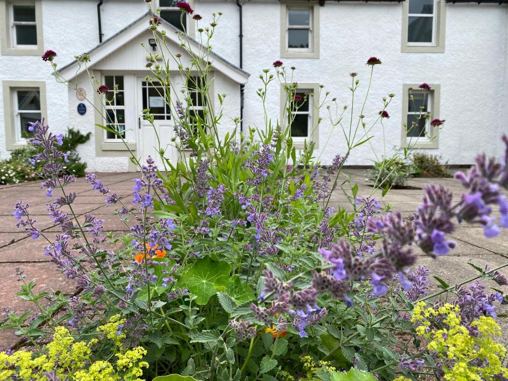 a garden of flowers in front of a house at Hartfield House Hostel in Applecross