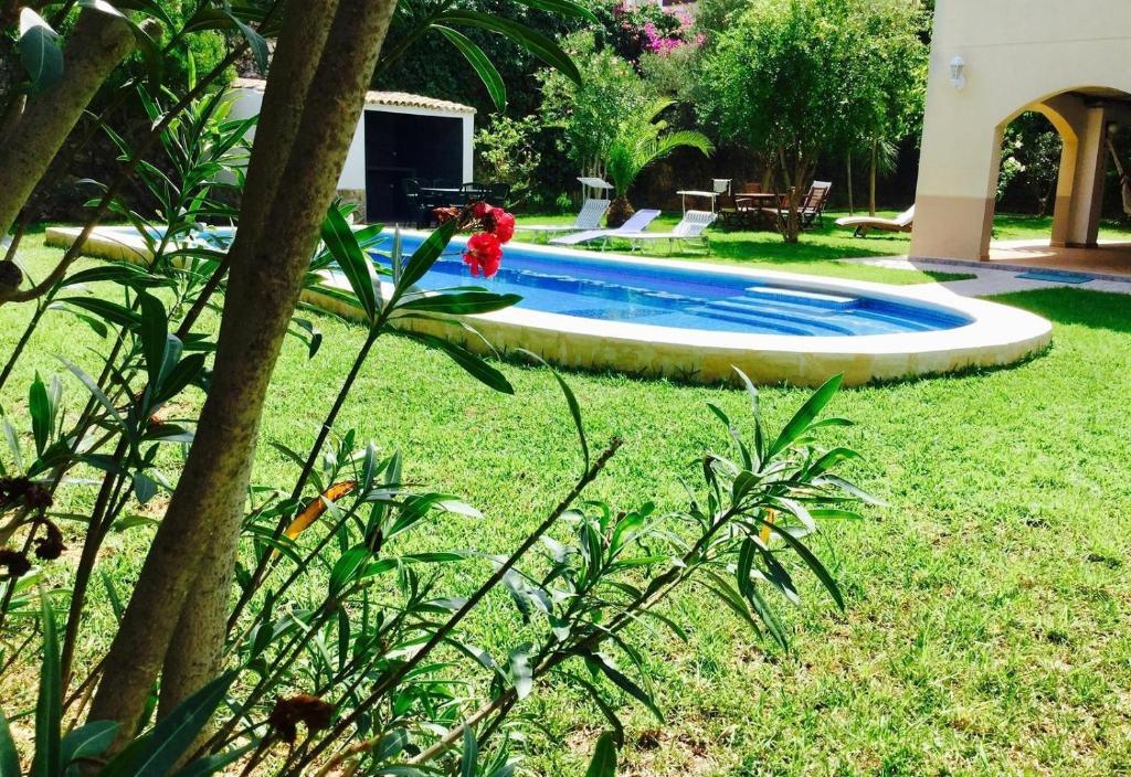 A garden outside Casa Buenavista
