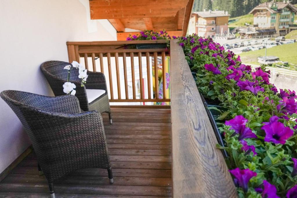 Zahrada ubytování Hotel Alba Wellness & Spa
