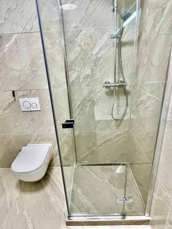 A bathroom at Apartment Harmony - Tatranska Lomnica, Javorinka