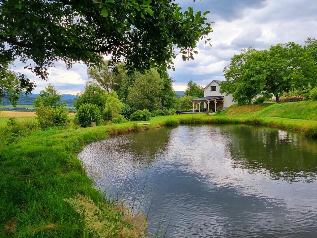 a pond in front of a house and a house at Chata Velké Losiny in Velké Losiny