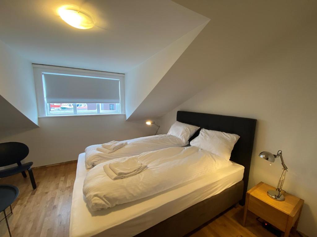 Day Dream Vesturgata 17 Reykjavik - Resim 31