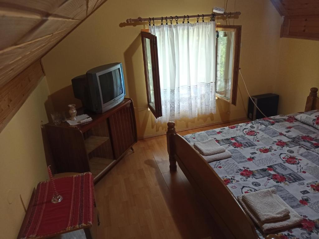 TV a/nebo společenská místnost v ubytování Kod Dace