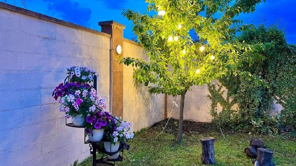 Hotel Oxford By TimHotels - Resim 23