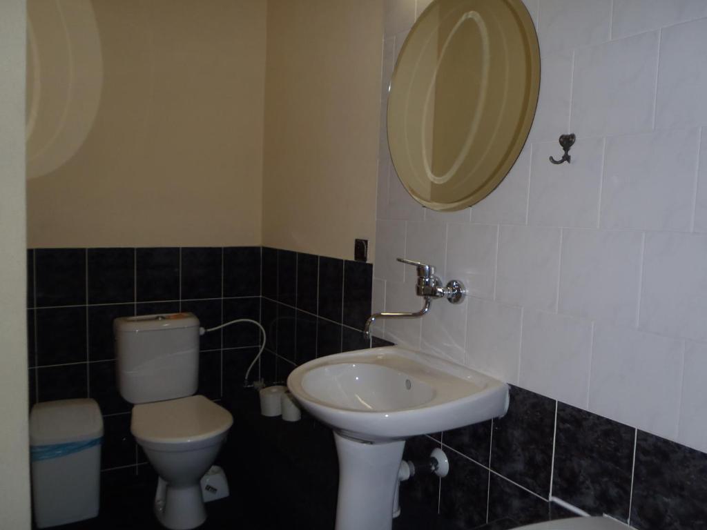 a bathroom with a sink and a toilet and a mirror at Pension a restaurace Kůlna in Chomutov
