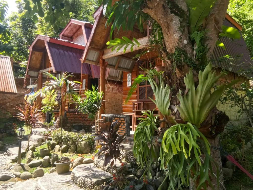un giardino di fronte a una casa con piante di Lucky Bamboo'Bungalows-Resto and Orangutan Jungle Trekking Tours a Bukit Lawang