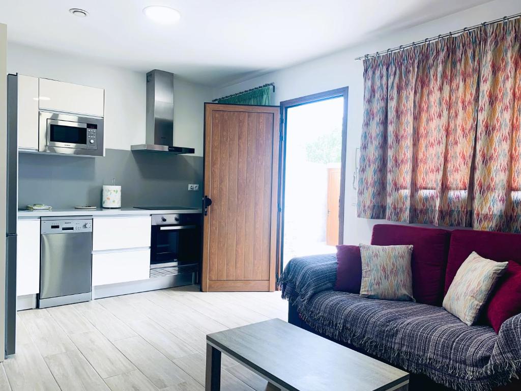 Kuchyň nebo kuchyňský kout v ubytování Apartamento La Cueva, Artenara