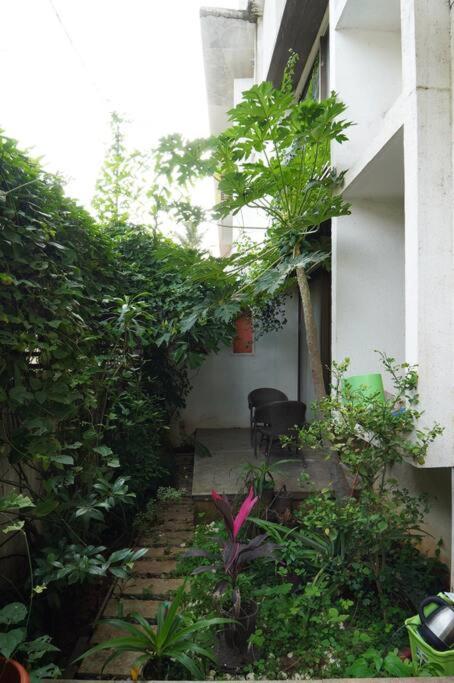 Zahrada ubytování Iris by Le Pension Stays