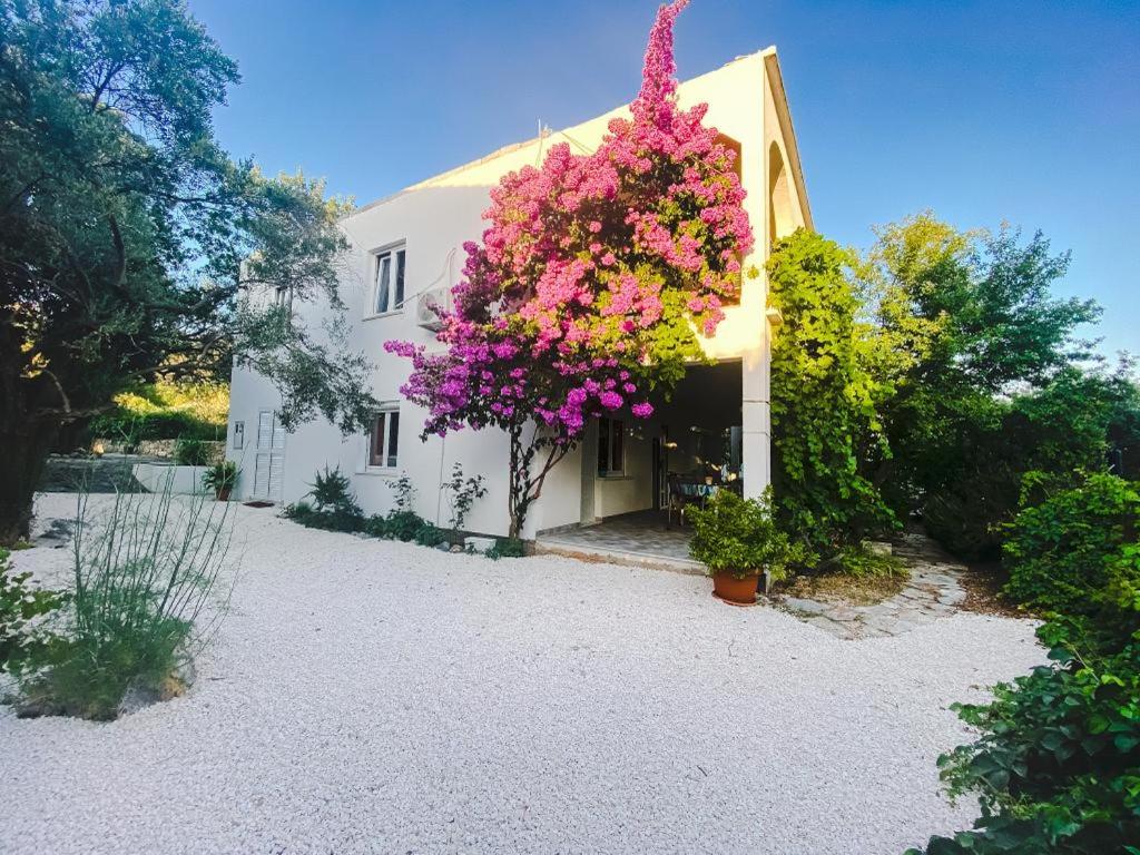una casa blanca con un árbol con flores rosas en Olive Garden Apartments, en Poljica