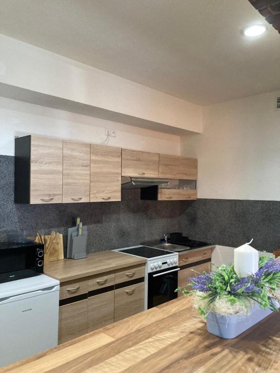 Kuchyň nebo kuchyňský kout v ubytování Apartman U Mostu