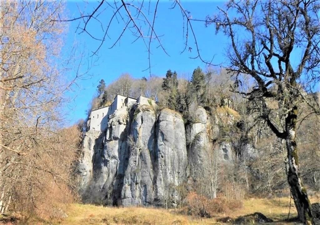 Příroda nedaleko bed and breakfast