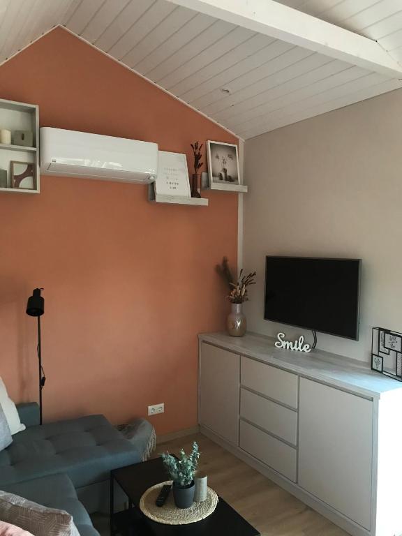 TV/Unterhaltungsangebot in der Unterkunft TINY LIEBE Ostsee Ostsee- bei Wismar