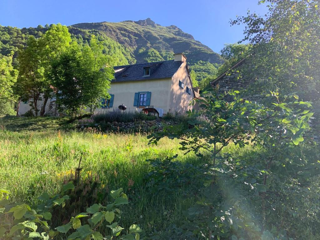 ein Haus auf einem Feld mit einem Berg im Hintergrund in der Unterkunft Maison écologique pleine montagne (eco-gite gavarnie) in Gèdre