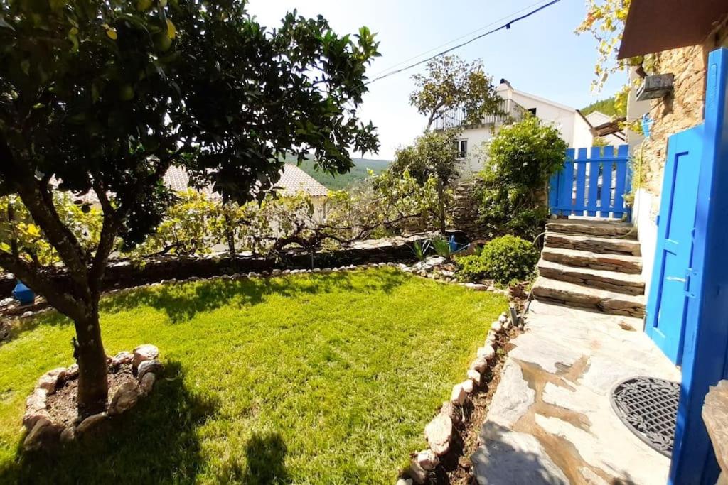 a yard with a tree and a blue house at Refúgio da Estrela in Aguincho