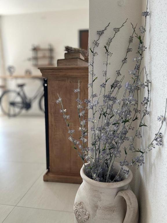 Fotografie z fotogalerie ubytování B&B Dimora Dorgali v destinaci Dorgali