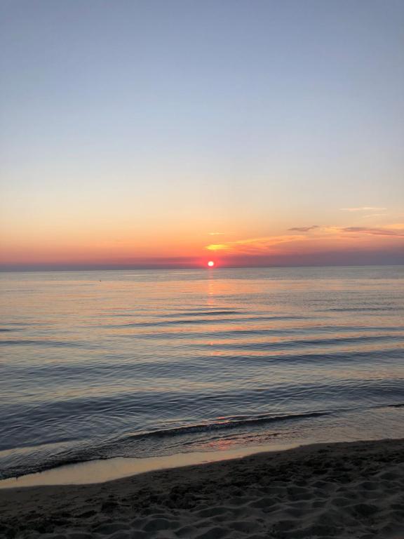 Summer by the Sea - Image 9
