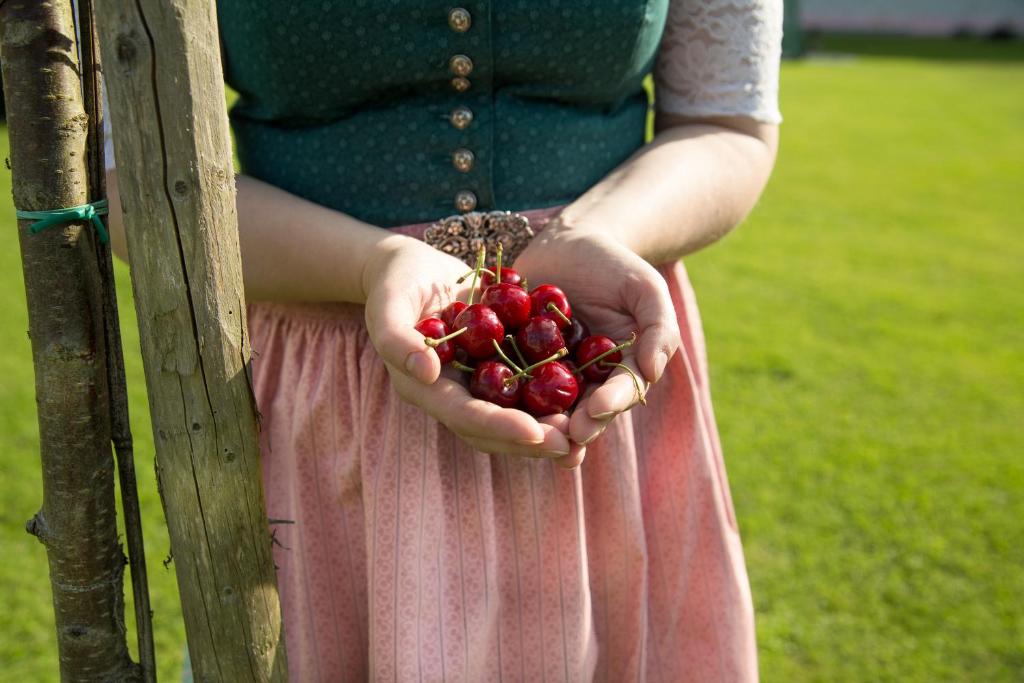 Hosté ubytování Obstgarten Gästehaus