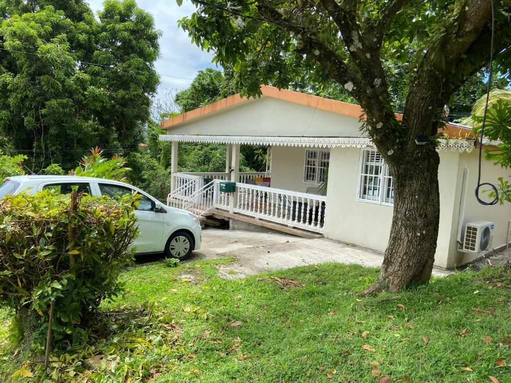 Zahrada ubytování Villa Délia