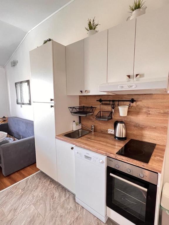Kuchnia lub aneks kuchenny w obiekcie Apartments Valentinovo