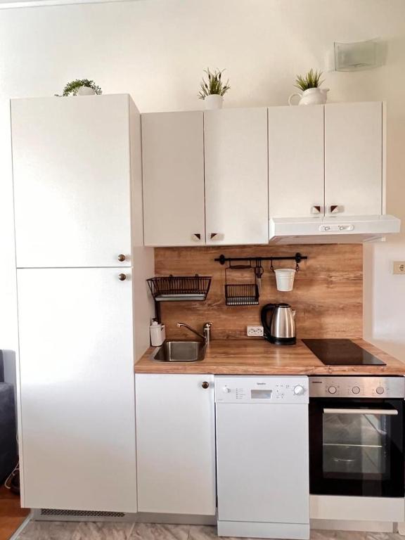 Kuchnia lub aneks kuchenny w obiekcie Apartments Valentinovo