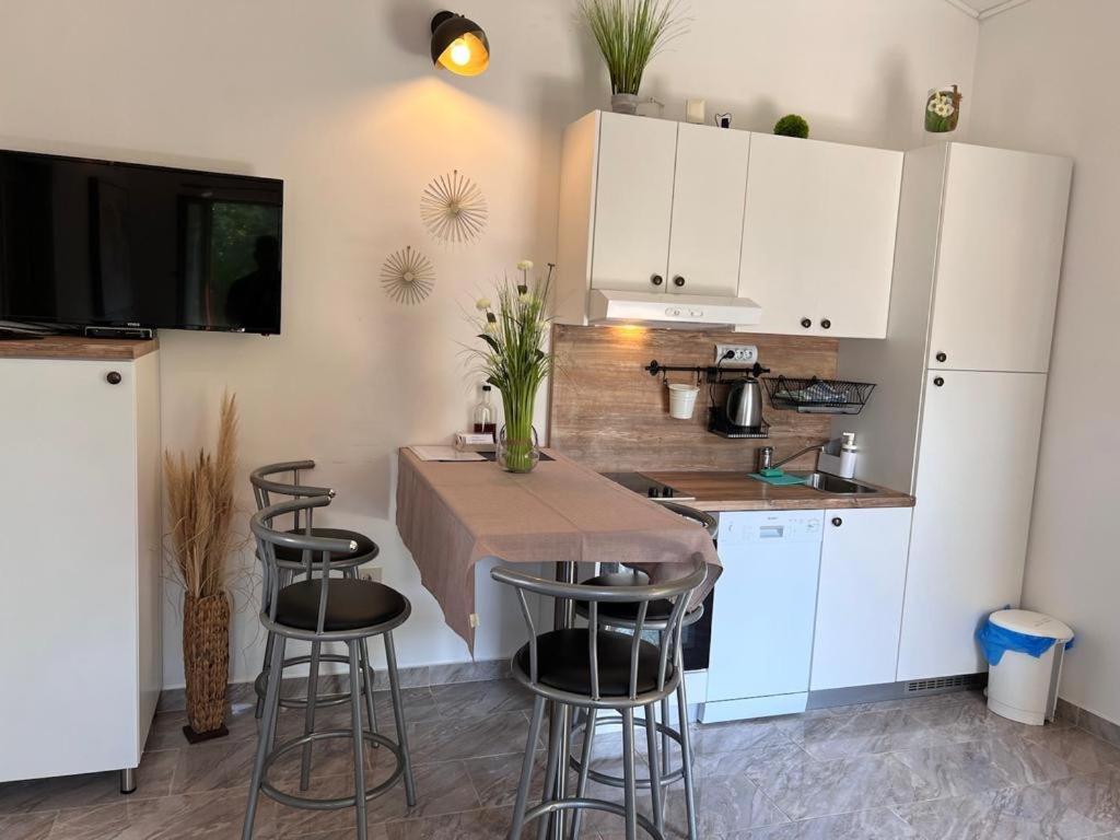 Kuchnia lub aneks kuchenny w obiekcie Apartments Valentinovo