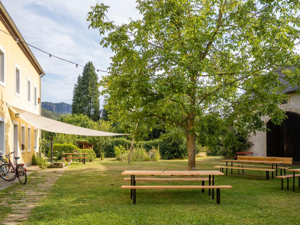 a park with benches and a tree in the grass at Hinterland Hostel in Rathen