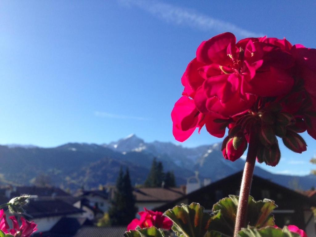 Ferienwohnung Gruß aus Partenkirchen - 6